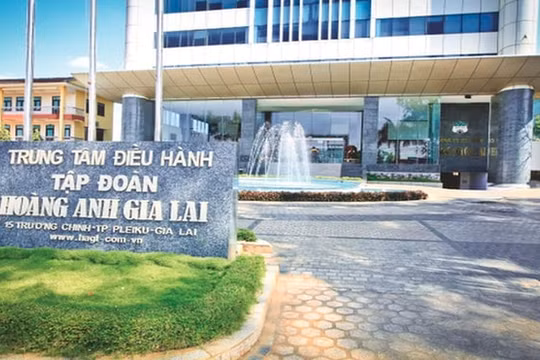 Vừa cầm cố cổ phiếu, Hoàng Anh Gia Lai (HAG) lại lập công ty liên kết tại Trung Quốc