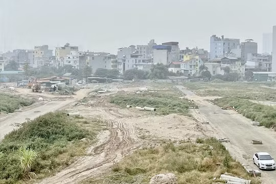Đồng Nai: Hơn 2.300 hecta đất đai lãng phí vì dự án chậm tiến độ