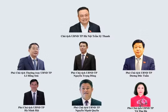 Phân công lĩnh vực phụ trách của Chủ tịch và 6 Phó Chủ tịch UBND TP Hà Nội