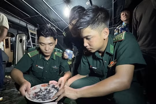 Quảng Ngãi: Thu giữ nhiều cổ vật nghi bị ngư dân khai thác trái phép