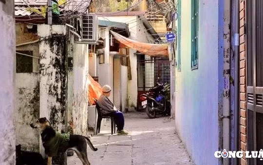 Cảm động chồng U70 chăm vợ chạy thận gần 20 năm 
