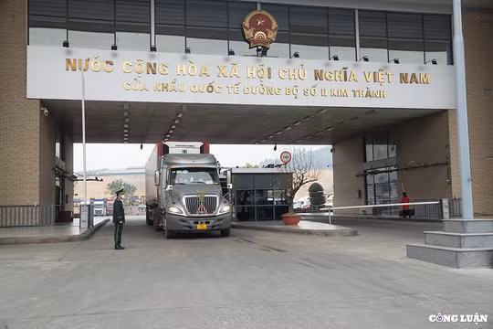 Ngày mùng 1 Tết xuất khẩu lô hàng hoa quả tươi sang Trung Quốc qua cửa khẩu Kim Thành (Lào Cai)