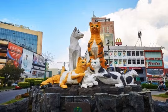 Độc đáo thành phố Mèo