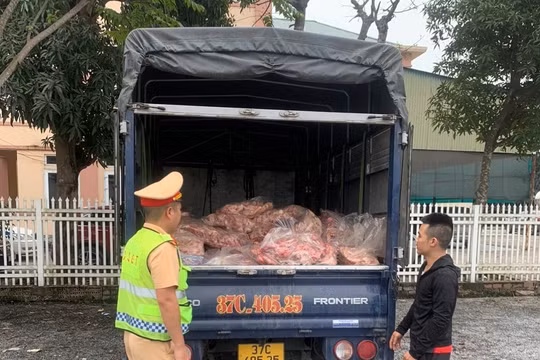 Nghệ An: Phát hiện 600kg cổ, cánh gà đông lạnh không rõ nguồn gốc đang trên đường tiêu thụ