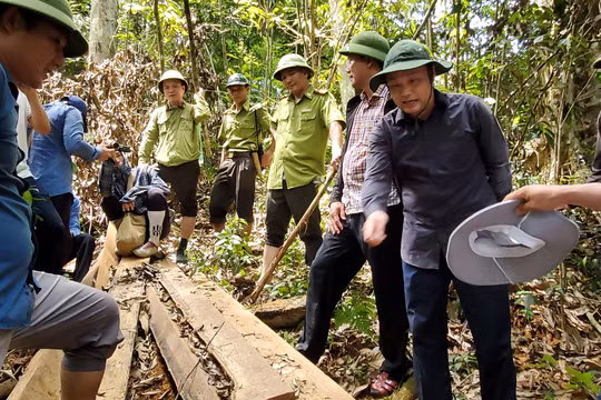 “Máu rừng” vẫn chảy ở xứ Thanh: Phó Chủ tịch UBND tỉnh Thanh Hóa thị sát vụ phá rừng tại Như Xuân