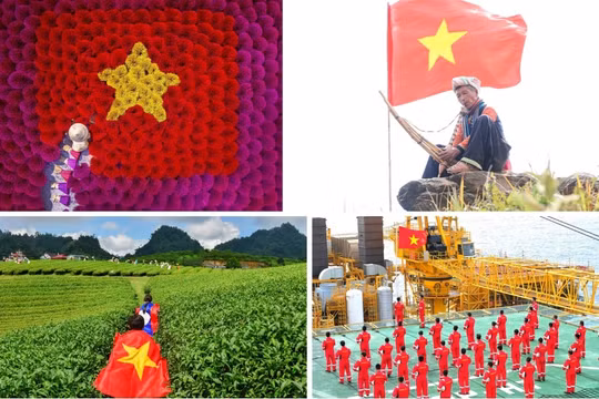Báo Người Lao Động chấm giải cuộc thi ảnh “Thiêng liêng cờ Tổ quốc”