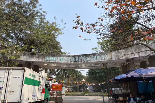 Công viên Tuổi Trẻ: Từ “Lá phổi xanh" thành nơi nuôi gà