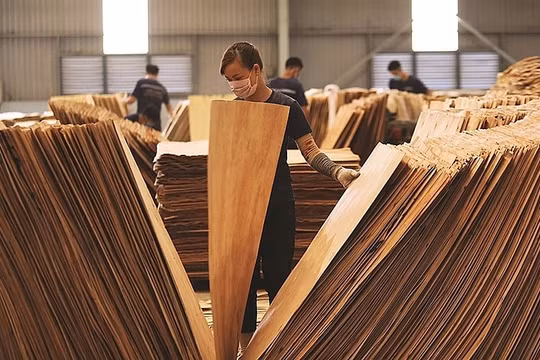 Hoa Kỳ gia hạn điều tra lẩn tránh phòng vệ thương mại với gỗ dán