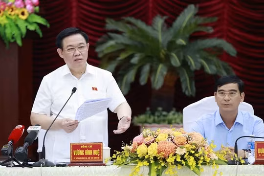 Bình Thuận khẩn trương hoàn chỉnh hồ sơ, trình phê duyệt và tổ chức thực hiện hiệu quả quy hoạch tỉnh