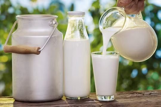 Tăng cường hậu kiểm sữa chế biến