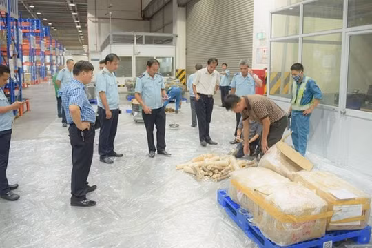Lực lượng Hải quan đã phát hiện và xử lý 14.141 vụ vi phạm trong 10 tháng đầu năm