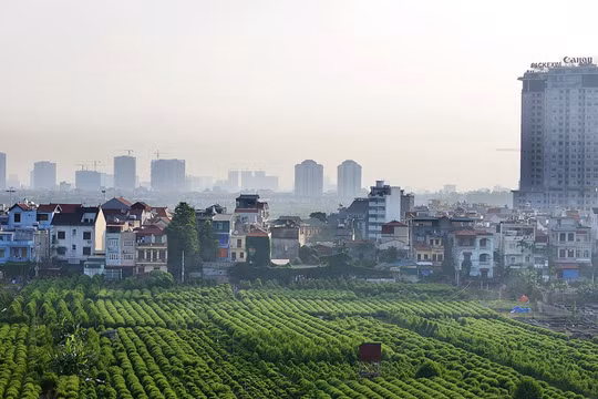 Phê duyệt đề cương “Đề án nông nghiệp đô thị thành phố Hà Nội”