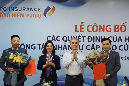 Tổng doanh thu phí bảo hiểm gốc PJICO tăng trưởng 13,7% trong quý I