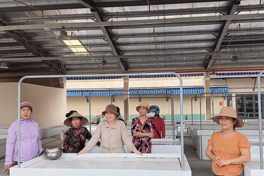 Vụ tiểu thương chợ Đông Phú phản đối vào chợ mới: Chủ tịch Quảng Nam chỉ đạo giải quyết