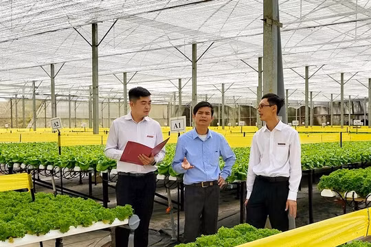 Agribank tiếp tục điều chỉnh giảm lãi suất đối với toàn bộ dư nợ hiện hữu của khách hàng