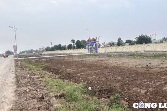 Ninh Bình: Dọn dẹp bùn, rác thải trước cổng các cơ quan nhà nước huyện Kim Sơn sau phản ánh của báo Công luận