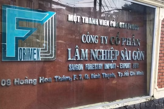 Thao túng cổ phiếu mã FRM và ABR, một cá nhân bị phạt nửa tỷ đồng