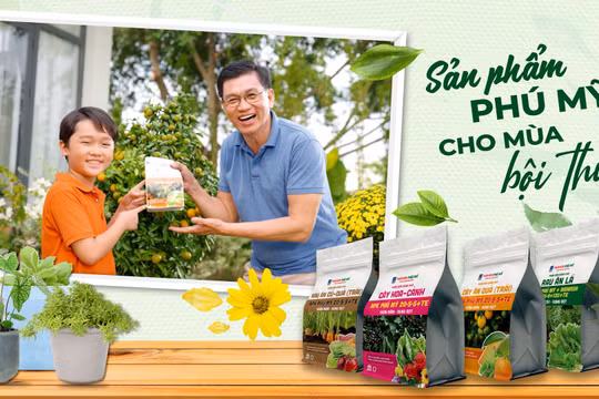 Phân bón Phú Mỹ - Giải pháp phát triển toàn diện cho cây trồng