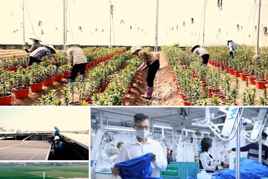 Doanh nghiệp chuyển đổi xanh - Cơ hội và thách thức