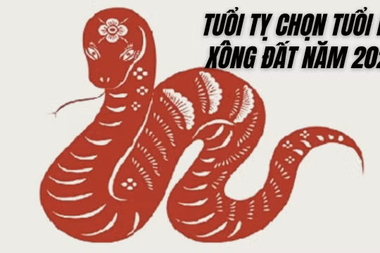 Xem tuổi xông nhà, xông đất năm Quý Mão 2023 cho tuổi Tỵ