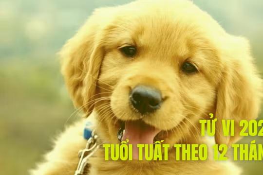 Tử vi tuổi Tuất năm 2023 theo 12 tháng (âm lịch)
