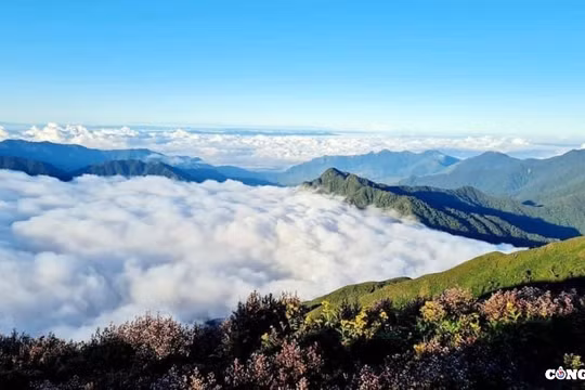 Trạm Tấu (Yên Bái) đẩy mạnh phát triển du lịch trải nghiệm và nghỉ dưỡng
