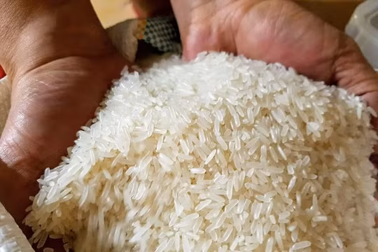 Nông nghiệp Việt Nam phá vỡ ‘lời nguyền’ được mùa thì mất giá