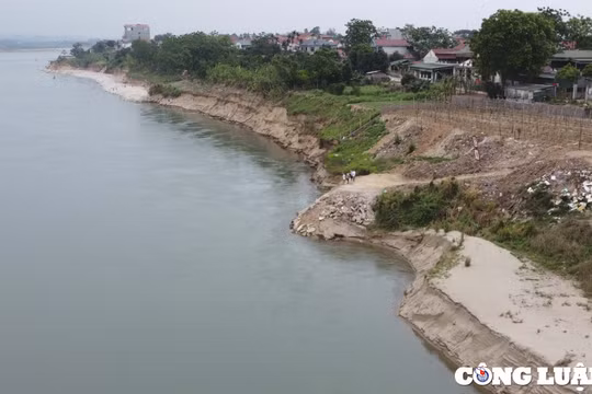 Tiếp tục sạt lở nghiêm trọng ở bờ sông Đà, 150 hộ dân ở Phú Thọ bị đe dọa