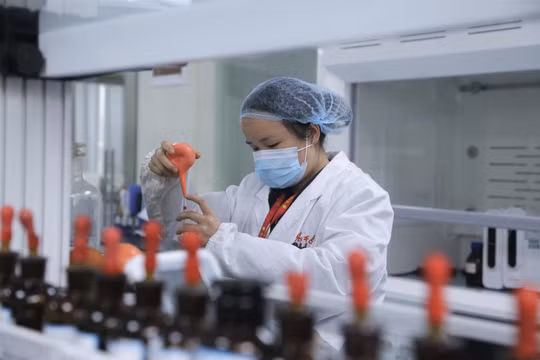 Trung Quốc: Thiếu nhân tài, các tập đoàn thi nhau chiêu mộ Hoa kiều