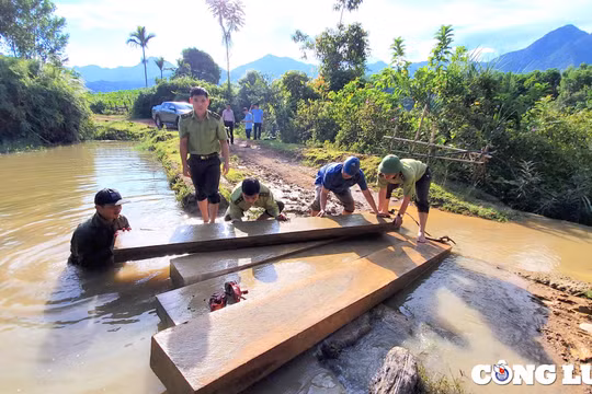 Chi cục Kiểm lâm tỉnh Thanh Hoá chỉ đạo kiểm tra phản ánh của Báo Nhà báo và Công luận