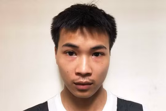 9 năm tù cho kẻ hiếp dâm con gái chủ quán vịt