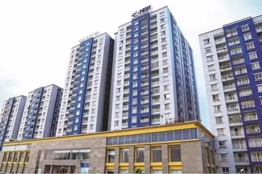 Lãi quý 2 giảm 99%, vẫn xuất hiện cổ đông lớn thâu tóm gần 500.000 cổ phiếu Năm Bảy Bảy (NBB)