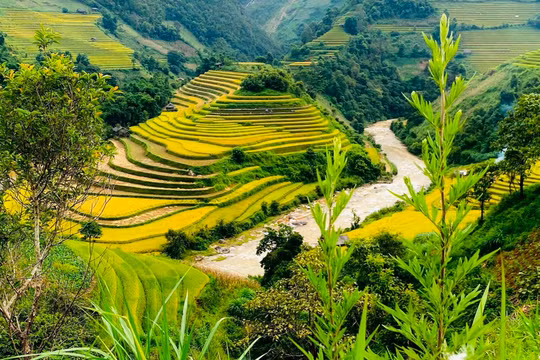 Việt Nam là quốc gia châu Á duy nhất thuộc nhóm du lịch có ý thức