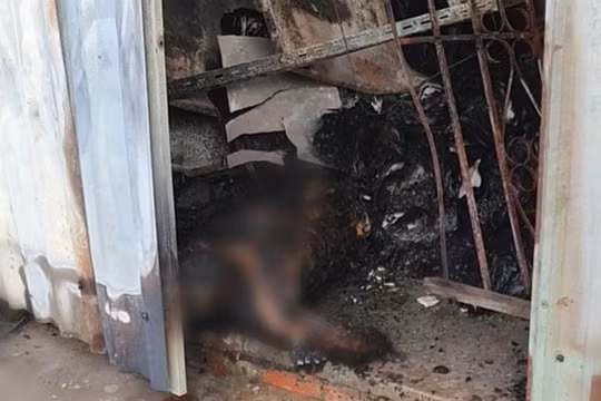 Long An: Tài xế một ngân hàng bị điện giật, ngã vào đám cháy tử vong khi lao vào nhà kho dập lửa