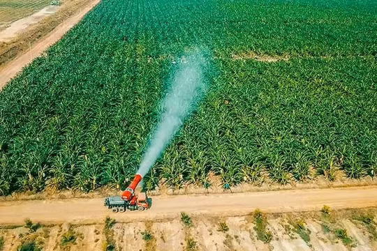 HAGL Agrico (HNG) đặt mục tiêu "chỉ" lỗ 2,3 nghìn tỷ trong năm 2023