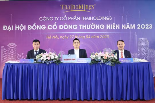 ĐHĐCĐ Thaiholdings thông qua phương án trả cổ tức bằng cổ phiếu theo tỷ lệ 10%