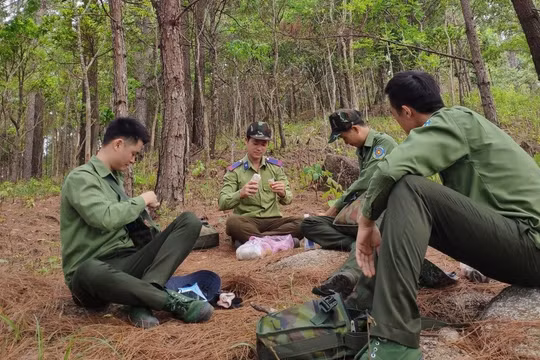 Gia Lai: Nhân viên bảo vệ rừng nghỉ việc hàng loạt, một người phải “gánh trên vai” hơn 3.000 ha rừng