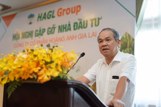 Chứng khoán 19/12: Dòng tiền cạn kiệt, cổ phiếu bầu Đức bị bán tháo