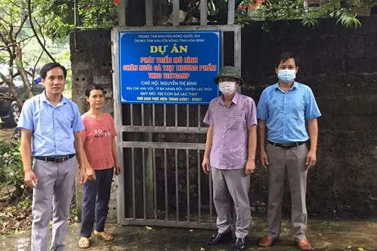 100% xã có đường ô tô đến trung tâm, 97% người dân được sử dụng điện lưới quốc gia