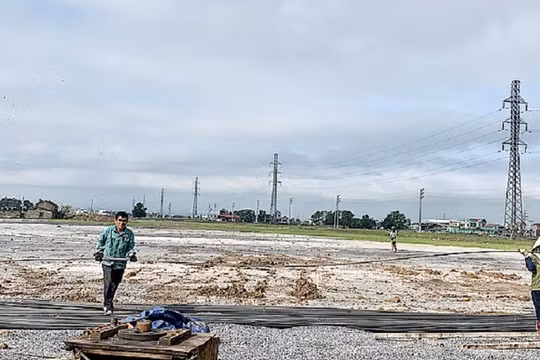Nam Định: Hàng loạt doanh nghiệp cổ phần hóa chưa hoàn thành các thủ tục về sử dụng đất