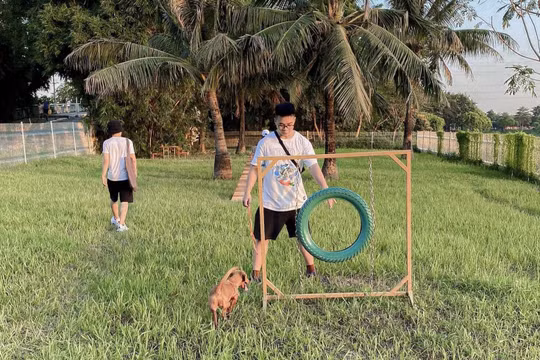 Nuôi chó mèo ở chung cư và những vấn đề gây tranh cãi