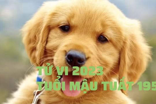 Tử vi 2023 tuổi Tuất theo từng năm sinh