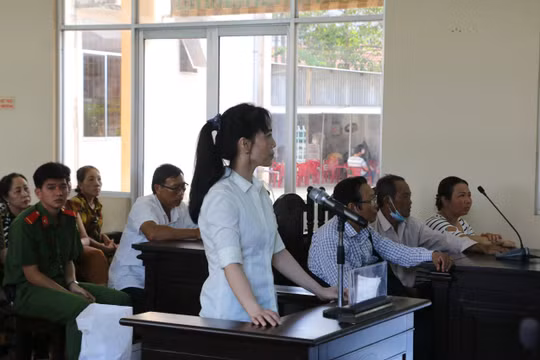 Mượn danh văn phòng luật sư để lừa đảo chiếm đoạt tài sản