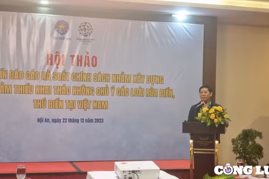 Xây dựng kế hoạch giảm thiểu khai thác không chủ ý các loài rùa biển, thú biển tại Việt Nam