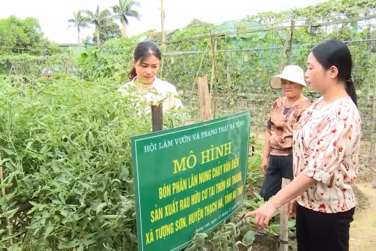 Mô hình “Vườn rau an sinh” giúp phụ nữ Hà Tĩnh có thể tham gia BHXH tự nguyện