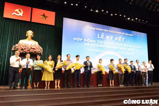 'Doanh nghiệp làm ra bao nhiêu đều bị lãi vay ăn hết'