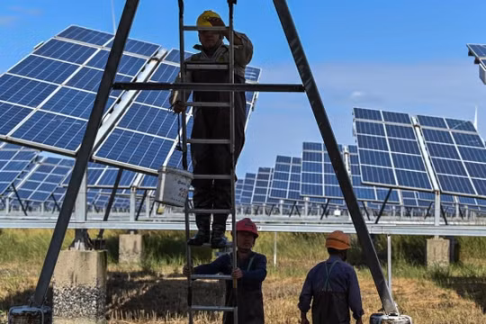 Deloitte: Châu Á được lợi nhiều từ quá trình khử carbon