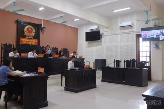“Đầu nậu” ma túy lĩnh án