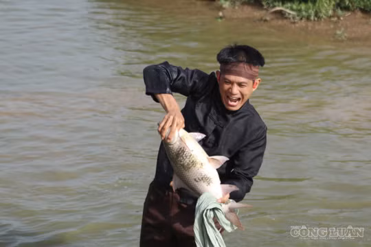Náo nhiệt ngày hội nơm cá ở quê Bác
