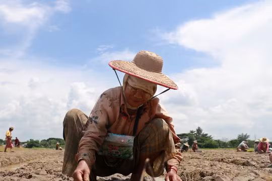 'Siêu El Nino' đe dọa kinh tế toàn cầu: Liệu có dễ ứng phó?